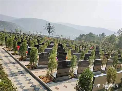 惠来县县级西部公益性公墓建设项目使用林地公示