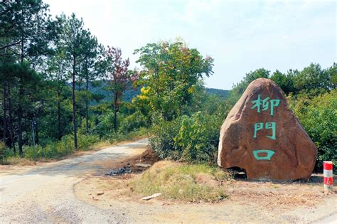 新春走基层丨青岛李村百年大集年味更浓_手机新浪网