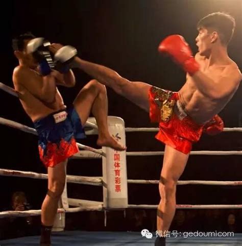 武林风：环球拳王争霸赛_腾讯视频