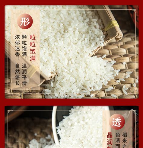 五常长粒香大米5kg东北当季新米农家稻粳米10斤寿司米非真空包装_虎窝淘