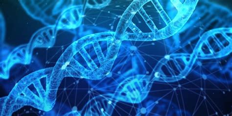 2021-2025年P53基因检测行业市场行情监测及未来发展前景研究报告
