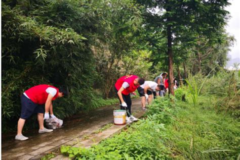 南家塘社区开展河道清理志愿服务活动-工作动态