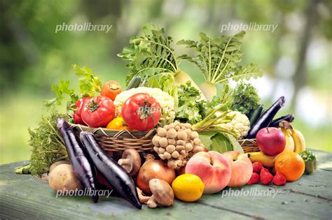 野菜と果物 写真素材 [ 2635192 ] - フォトライブラリー photolibrary