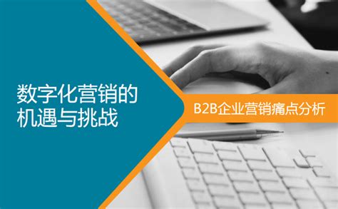 2017年中国B2B电子商务行业市场痛点及发展趋势分析（图）_观研报告网