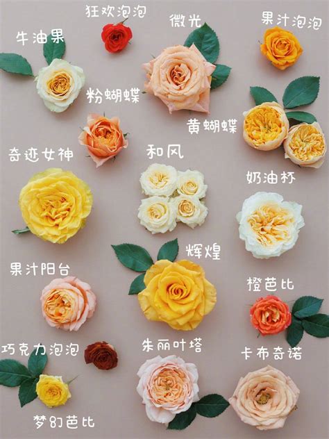 咸阳彩虹中学开展“三八”国际劳动妇女节送鲜花、献祝福活动