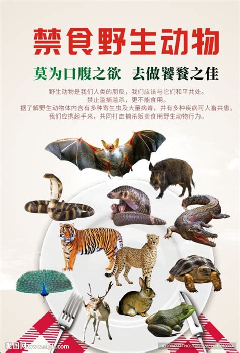 拒绝食用野生动物设计图__海报设计_广告设计_设计图库_昵图网nipic.com