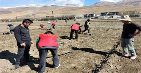 西藏日喀则"六城共建":不仅是一张名片__中国青年网