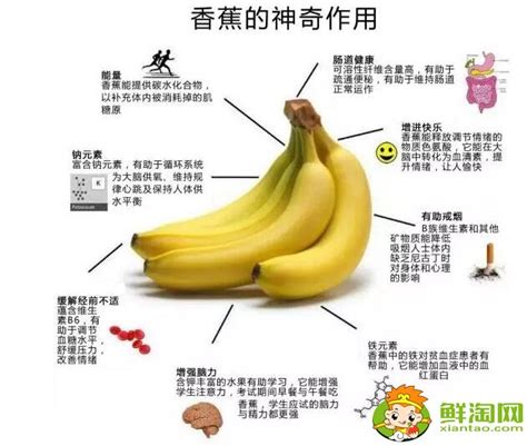 香蕉的功效与作用禁忌，醋泡香蕉能减肥吗 - 鲜淘网