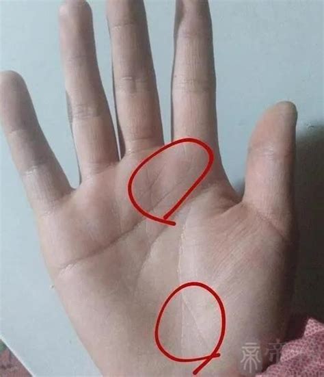 男士手相图解左手图片 男士手相图解左手图片