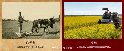 百年中国图像 衣食住行|平面|海报|席子儿 - 原创作品 - 站酷 (ZCOOL)