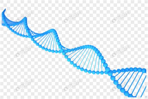 DNA复制的起始机制 - 知乎