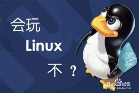 Linux应用软件开发：四招技巧助您事半功倍 - LinuxJiaoCheng