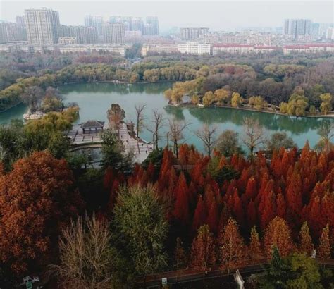 邢台123：红红火火过大年，达活泉公园挂满了喜庆的红灯笼