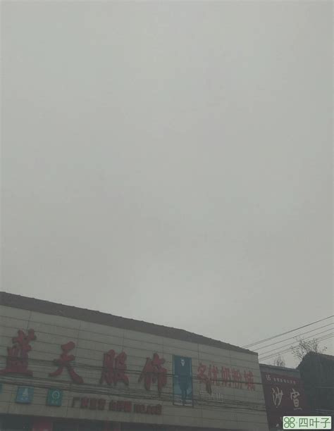 山东成武县今天的天气今日天气预报24小时 - 四叶子