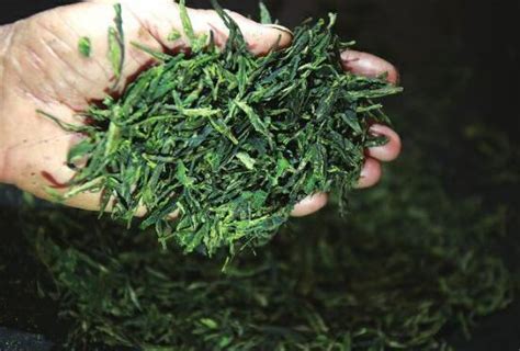 告诉你五种在家存茶的方法_茶叶存储-茶语网,当代茶文化推广者