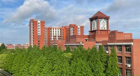 上海杉达学院2023年专升本招生专业、考试科目及对口要求表