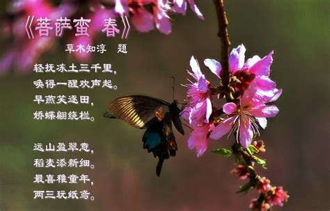形容赏花的诗句,夜晚赏花的诗句,欣赏花的优美句子_大山谷图库