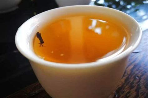 带茶字寓意好的成语,带茶字的成语有哪些,比较高雅的茶叶店名字_大山谷图库