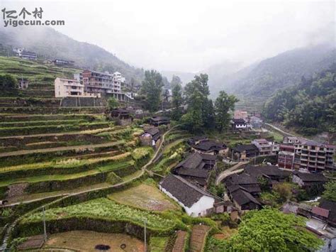 图片_浙江省丽水市青田县高湖镇旦头山村