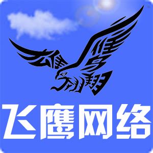 萍乡飞鹰网络科技有限公司 - 爱企查