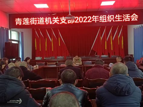 青莲街道：召开2022年机关支部组织生活会-高坪区人民政府