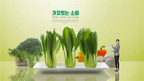 绿色健康蔬菜农产品海报设计psd素材 – 设计小咖