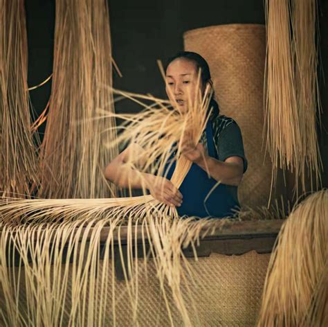 第十届中国竹文化节11月14日至16日将在桃江举行_湖南频道_凤凰网