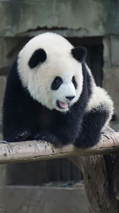 爱爱照片图片