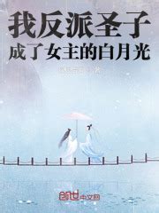 《穿成年代文反派大佬的白月光》小说在线阅读-起点中文网