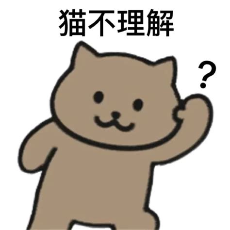 一人一猫动漫图片