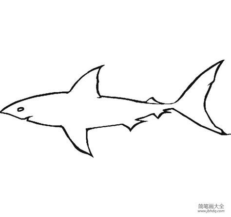 大白鲨的简笔画怎么剪(大白鲨的简笔画怎么画) - 抖兔教育