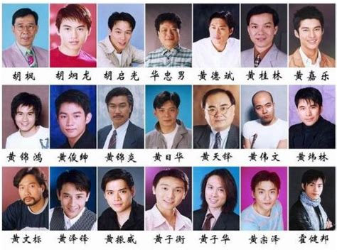求香港TVB无线所有男明星电影演员的名字,及照片或图片