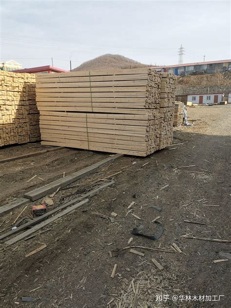 建筑木方尺寸标准规格 衢州木方 硬度高 有弹性