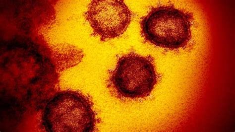 新型冠状病毒在体外究竟可以活多久？--中国数字科技馆