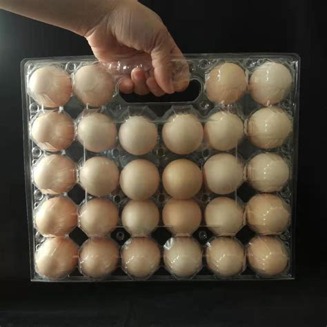 新鹏辉供应鸡蛋托 鸡蛋塑料包装盒 吸塑蛋托可定制免费打样品-阿里巴巴