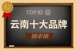 云南十大品牌-云南企业排行榜-十大品牌网_CNPP