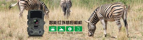 河南省野生动物救护中心远程视频监控多功能系统正式投入使用_河南频道_凤凰网