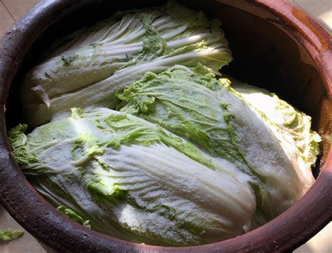 东北酸菜的腌制方法（正宗酸菜的腌制方法窍门） – 碳资讯