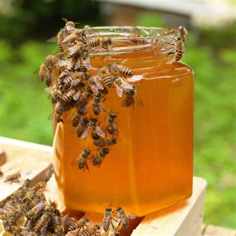 纯天然土蜂蜜销售