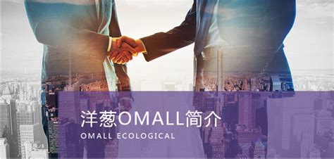 记我的跨境电商平台―洋葱omall上线开启海外直邮创业路程