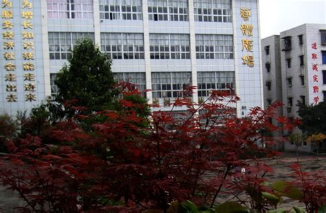 重庆永川中学 - 文化教育 - 中国建筑西北设计研究院2