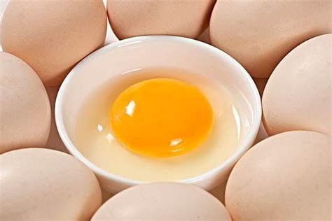 毛鸡蛋营养价值不高 吃鸡蛋的七大误区_饮食新闻_新闻_99健康网