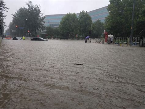 北京大雨后，一群人在护城河里捞鱼_手机凤凰网