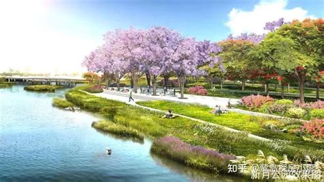 首个在福建厦门马銮湾开发的生态带状公园，是你休闲的好去处