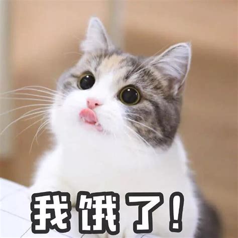 饿了么客服人工电话多少，饿了么客服人工电话多少商家