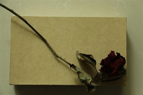 箱中和作为背景的干枯玫瑰花瓣高清图片下载-正版图片307133807-摄图网