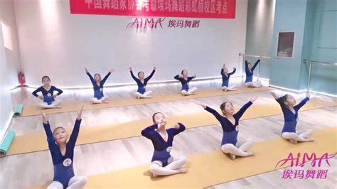 中国舞蹈家协会少儿舞蹈考级第九级：06故乡的草原