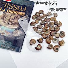 广西玉林市聪明螺 螺蛳粉 320克袋装 水煮型-淘宝网
