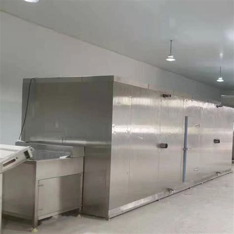 SDN-100-速冻果蔬生产线 隧道式速冻机-山东盛德诺机械科技有限公司