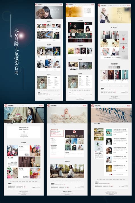 洛阳网站设计公司(洛阳网页设计)_V优客